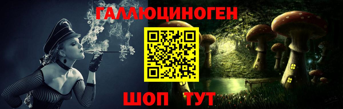 Псилоцибиновые грибы Psilocybe Новошахтинск