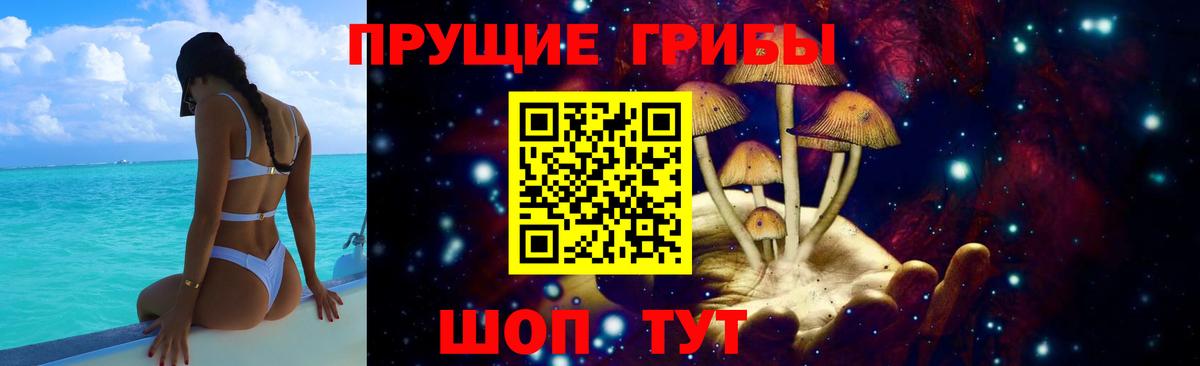 где можно купить наркотик  Вход с VPN  Новошахтинск  Галлюциногенные грибы Psilocybe 